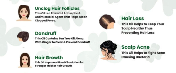 hair food oil - 7 herble hair food oil - Hair Food 7 Oils In One With More Than 30 Herbs For Healthy, Long & Strong Hair 200ml - Image 6